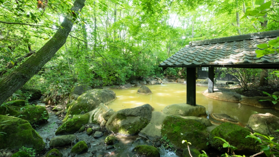 【朝食付】最終イン21時！観光も温泉も♪よくばり九重旅行